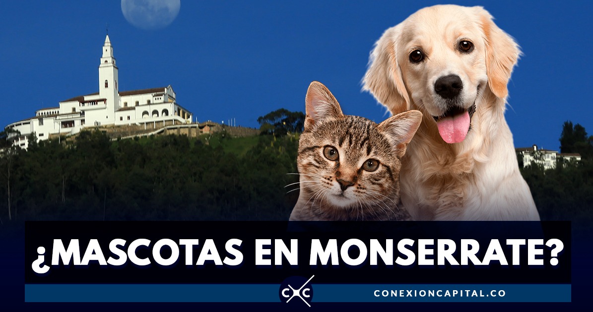 ¿Puede una mascota subir al cerro de Monserrate?