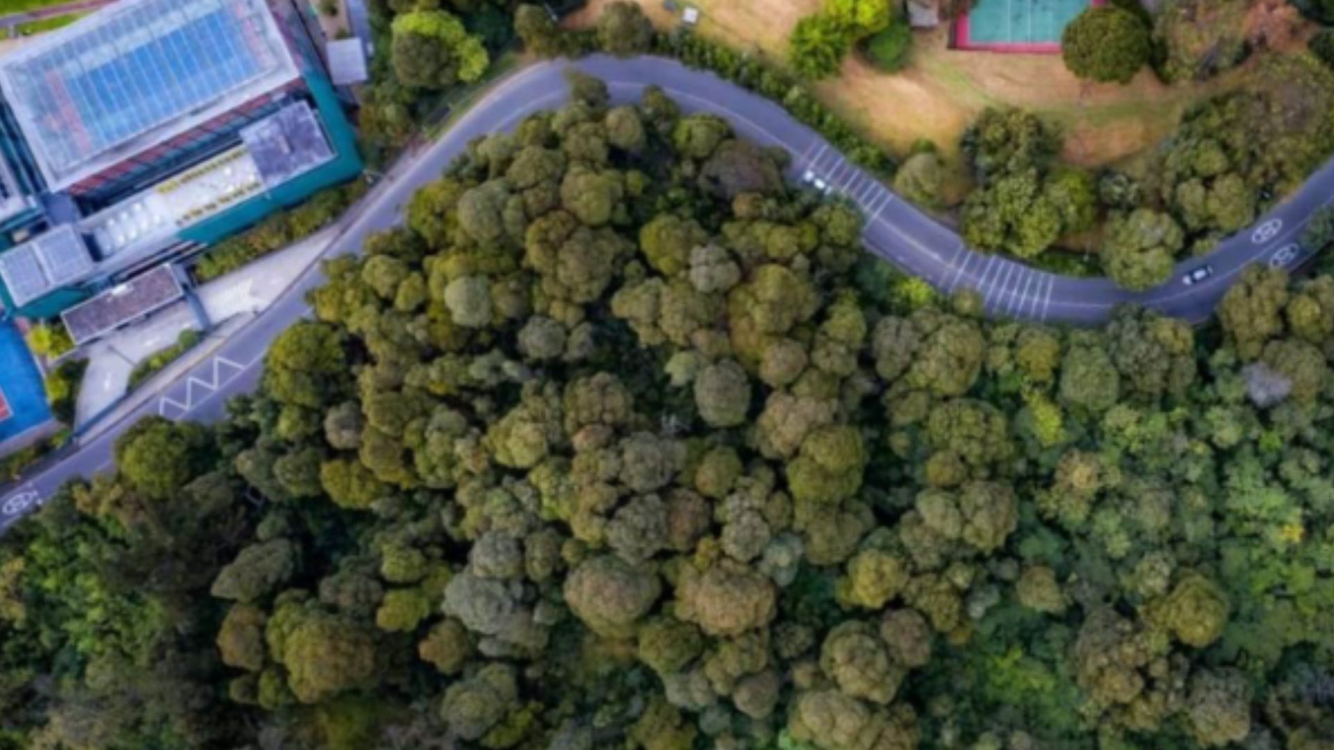 Cinco lugares para acampar cerca de Bogotá que debería visitar