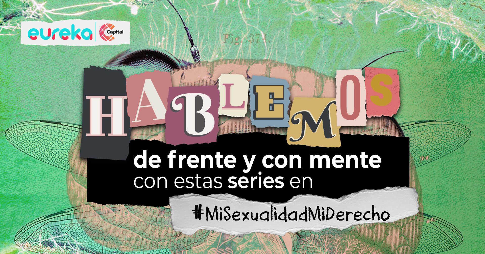 4 series para hablar de sexualidad de frente y con mente