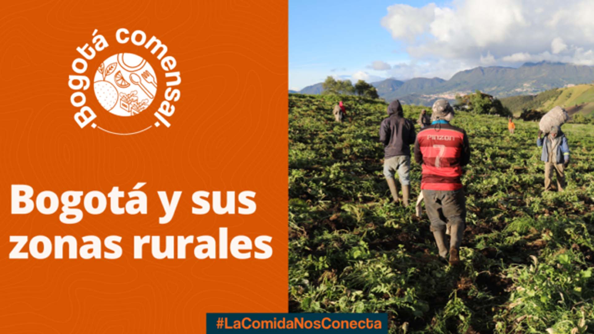 Bogotá y sus zonas rurales