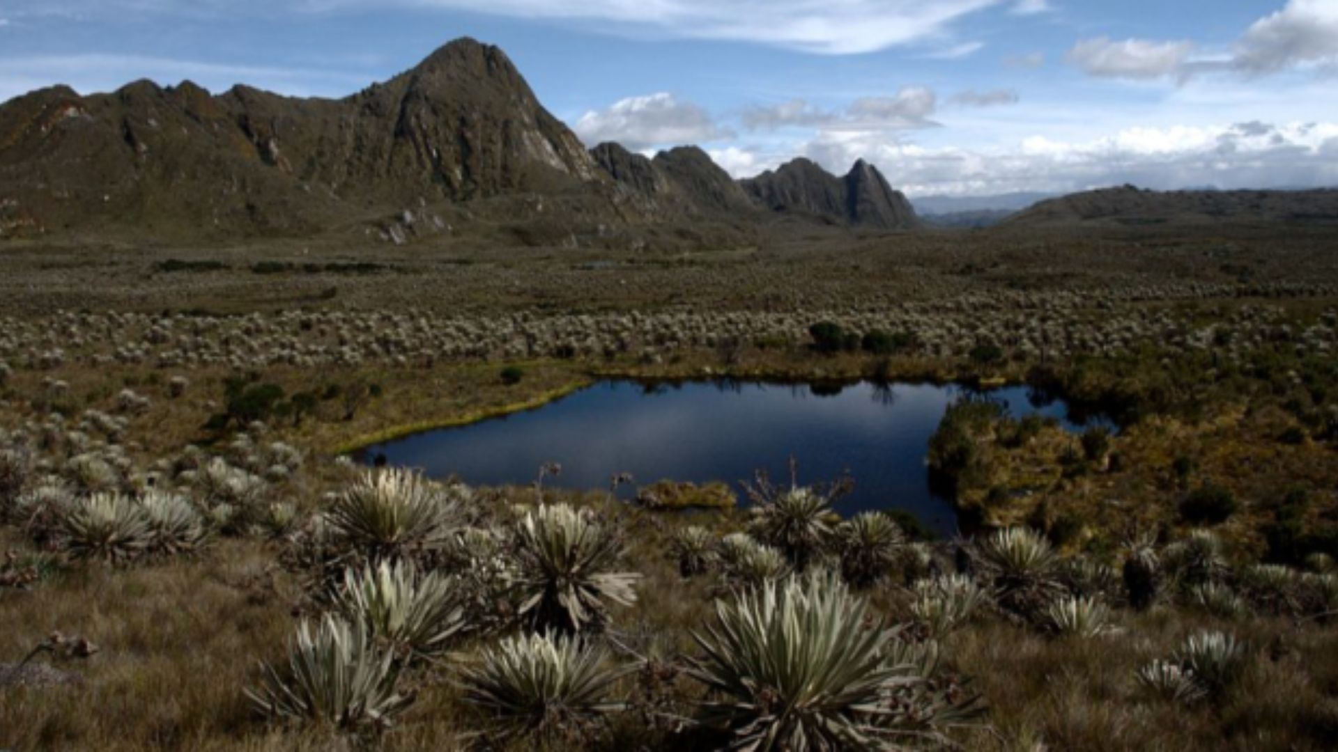 Páramo de Sumapaz