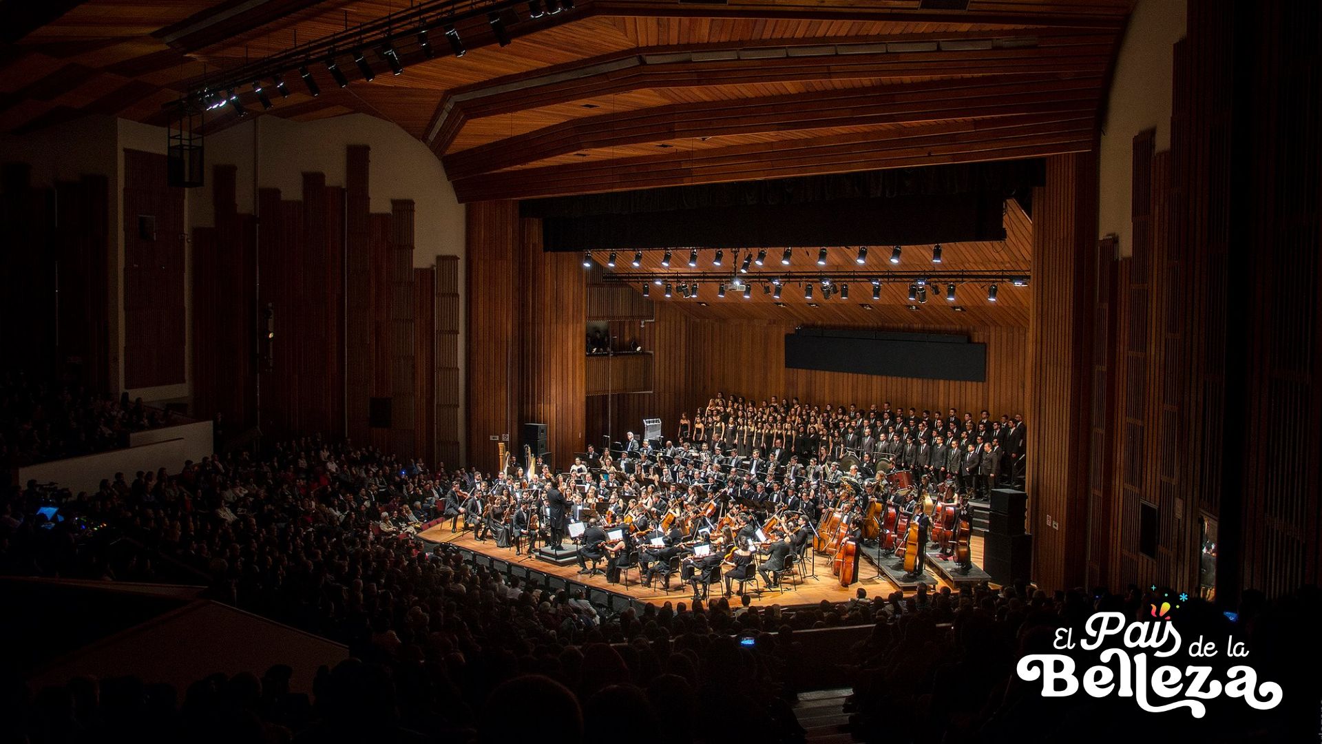 El icónico León de Greiff renace: la obra maestra de Eugenia Mantilla de Cardoso se reabrirá este 23 de noviembre