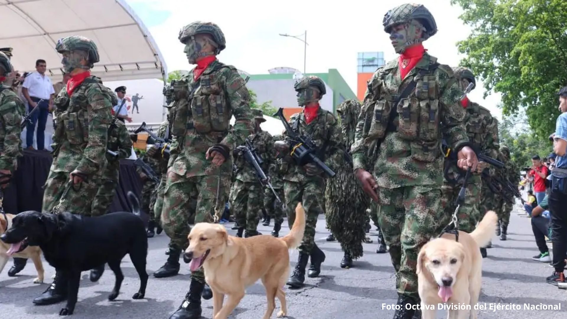 Desfile militar del 20 de Julio en Bogotá: Información sobre cierres y desvíos viales