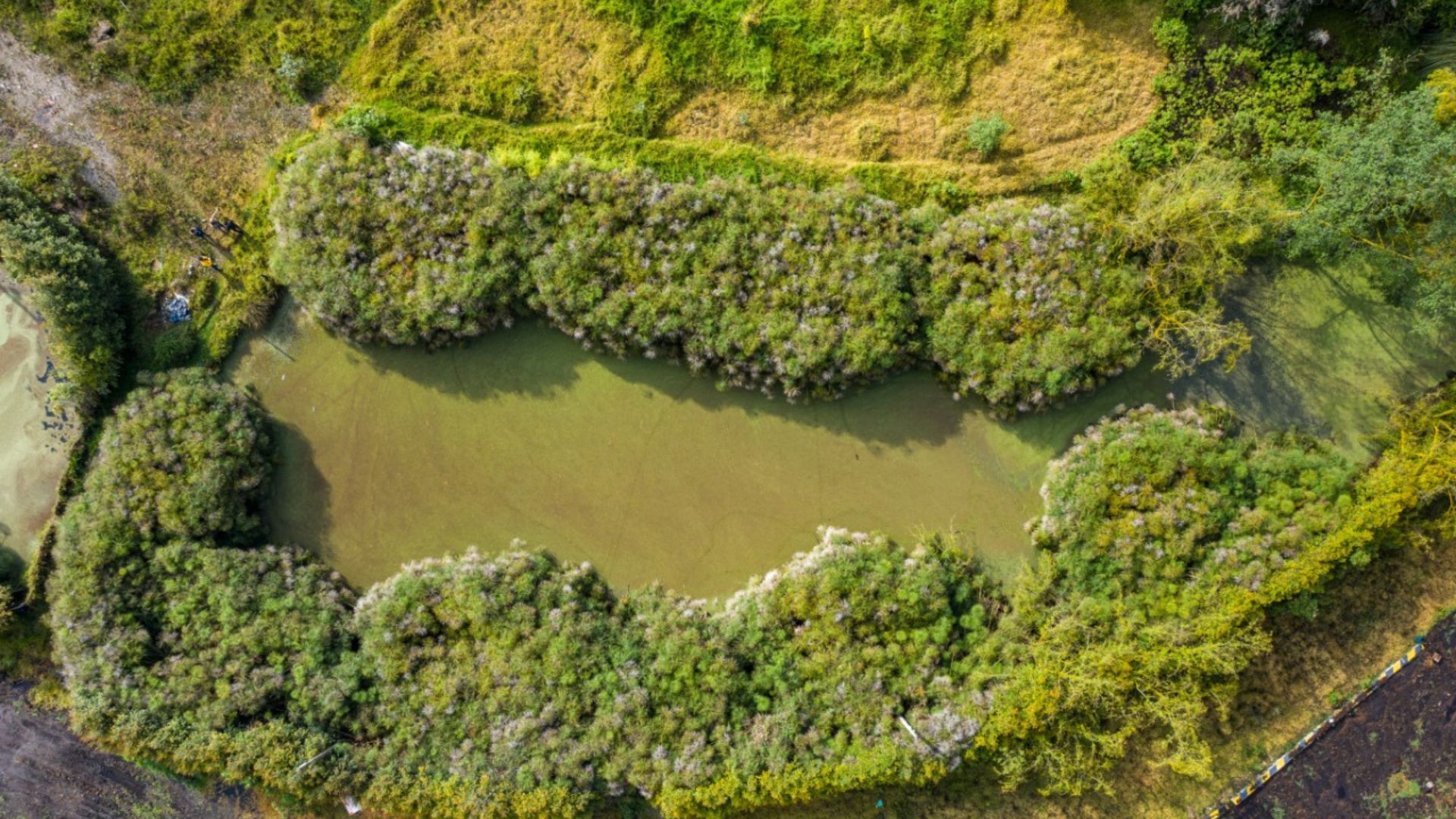 Bogotá activará un mecanismo para proteger predios de valor ambiental en la Reserva Van der Hammen
