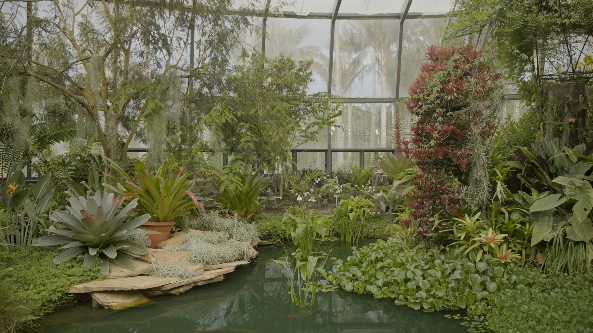 El Tropicario: el invernadero más grande de Latinoamérica en el corazón de Bogotá