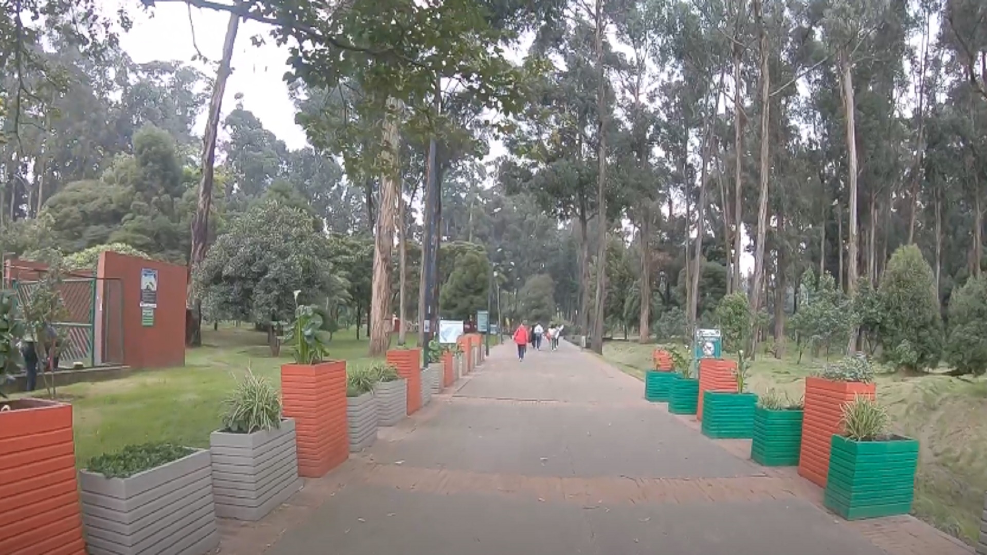 La historia detrás del Bosque San Carlos