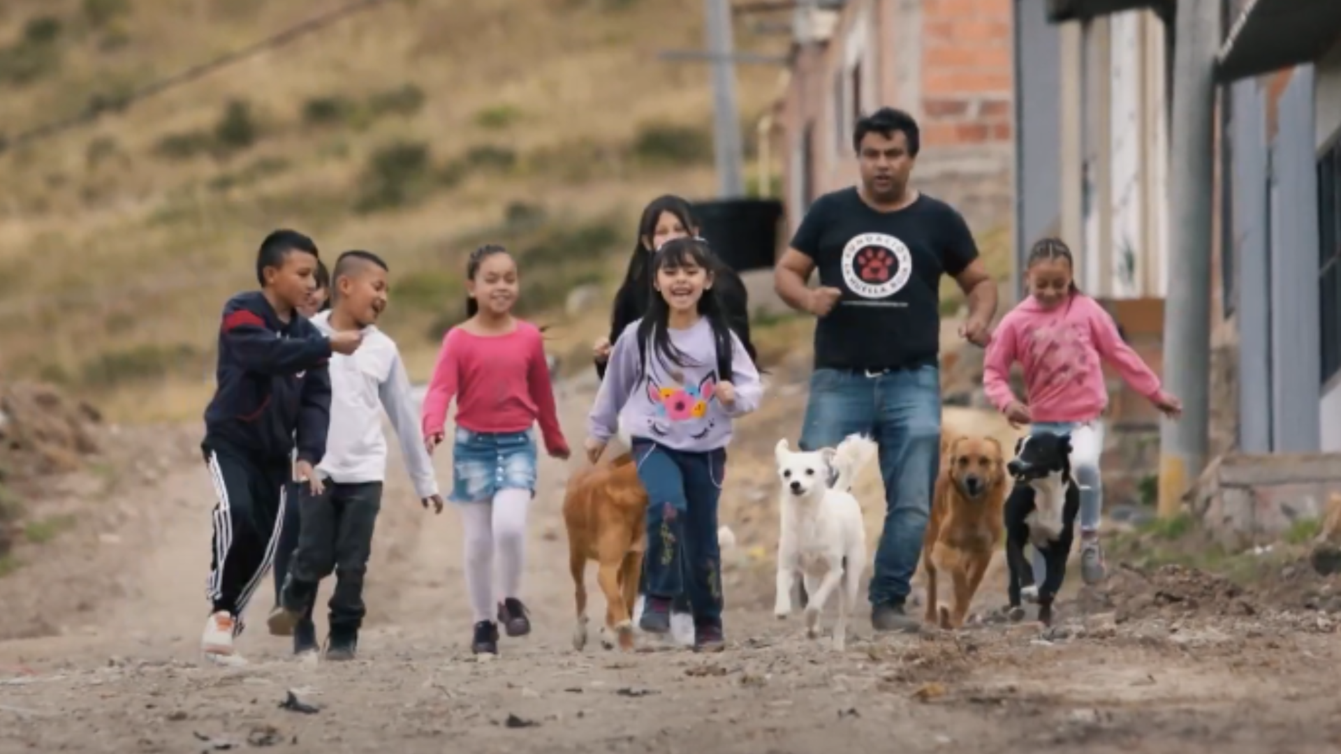 Un colegio con un refugio animal en Bogotá