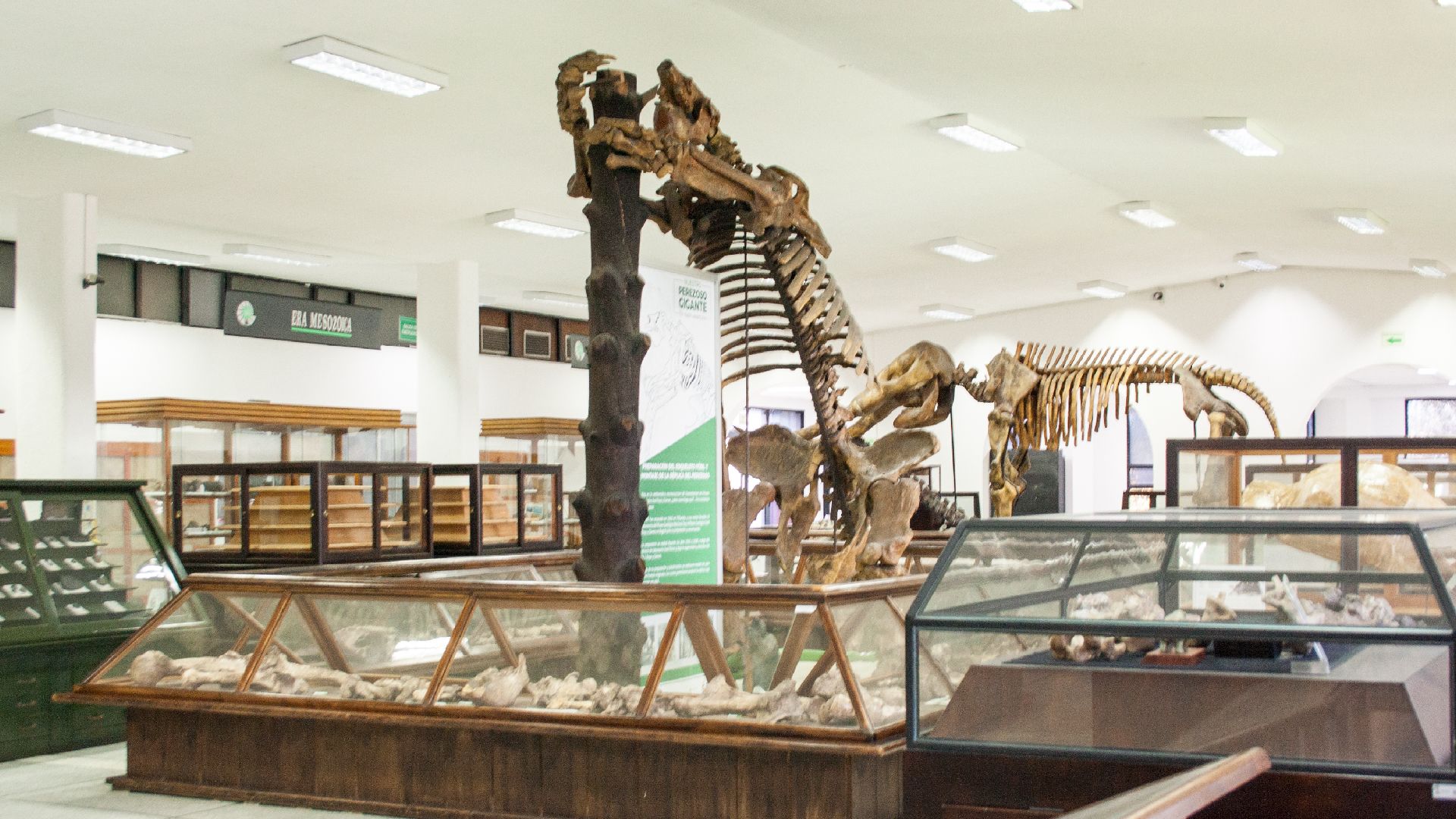 La historia y la ciencia reinan en el Museo Geológico Nacional, conózcalo a través de Bogotour
