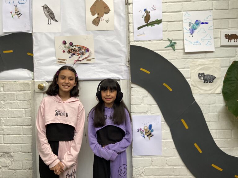 Detrás de cámaras ciudad animal