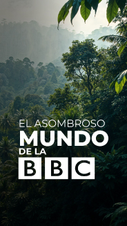 Documentales BBC